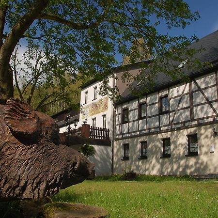 Waldgasthof & Hotel Am Sauwald Tannenberg Exterior photo
