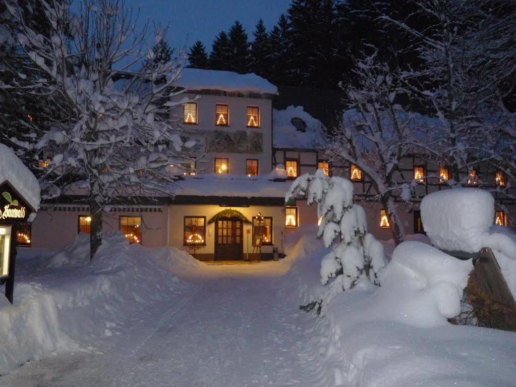 Waldgasthof & Hotel Am Sauwald Tannenberg Exterior photo