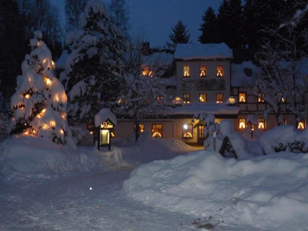 Waldgasthof & Hotel Am Sauwald Tannenberg Exterior photo